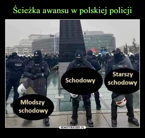 
    Ścieżka awansu w polskiej policji 