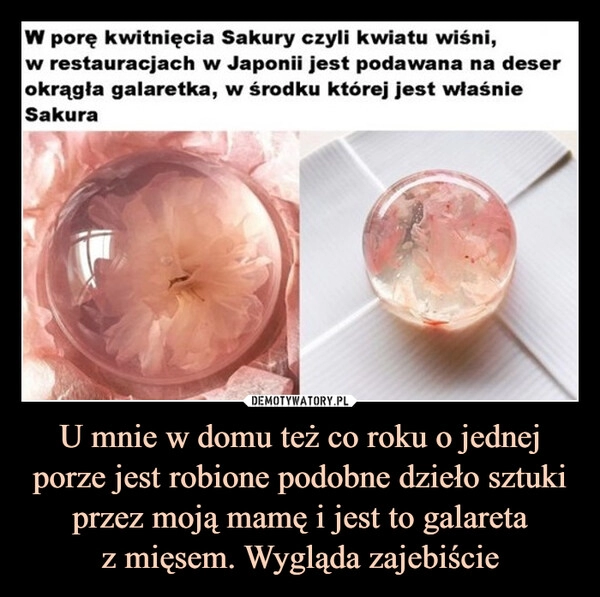 
    U mnie w domu też co roku o jednej porze jest robione podobne dzieło sztuki przez moją mamę i jest to galareta
z mięsem. Wygląda zajebiście