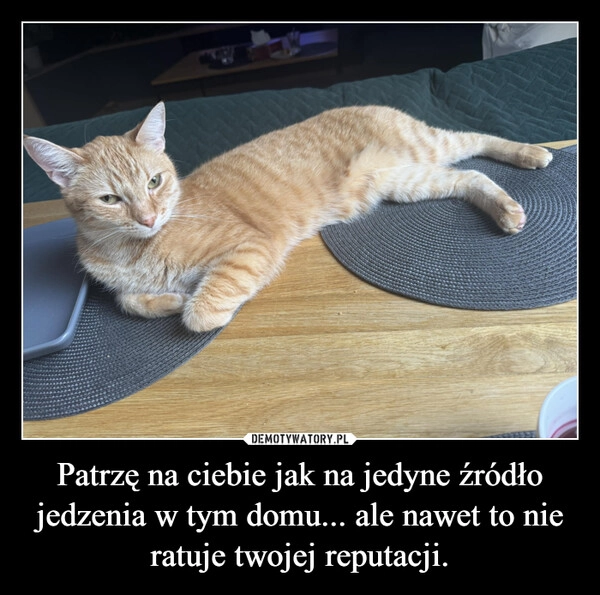 
    Patrzę na ciebie jak na jedyne źródło jedzenia w tym domu... ale nawet to nie ratuje twojej reputacji.