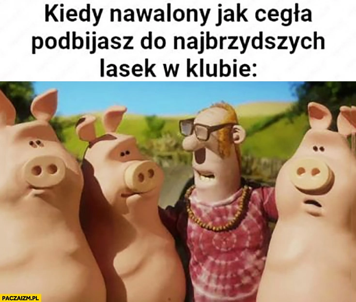 
    Kiedy nawalony jak cegła podbijasz do najbrzydszych lasek w klubie świnie