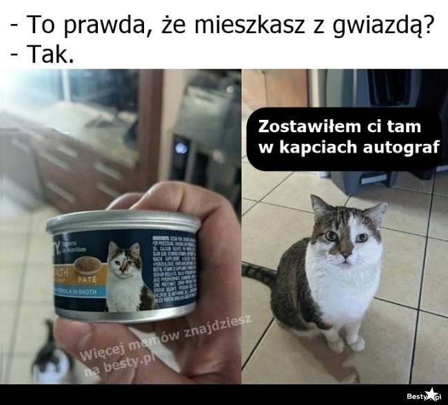 
    Życie z gwiazdą 