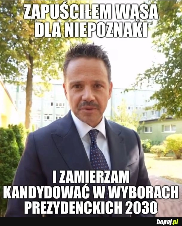 
    Wąs dla niepoznaki