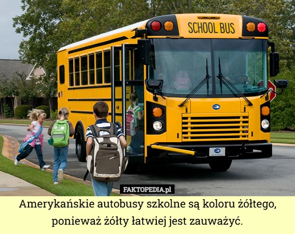 
    Amerykańskie autobusy szkolne są koloru żółtego, ponieważ żółty łatwiej