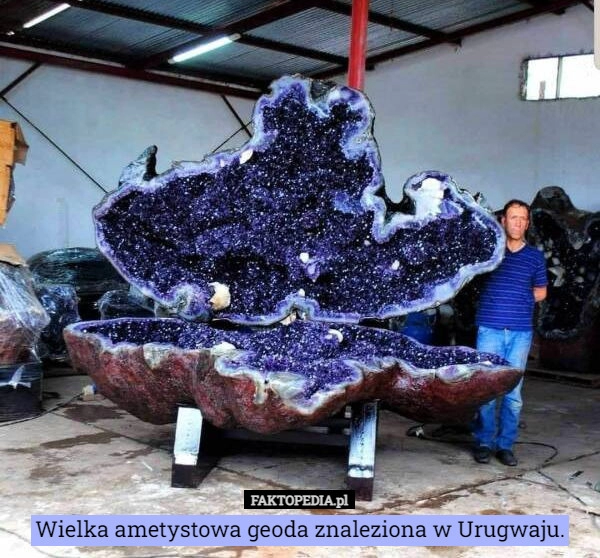 
    
			Wielka ametystowa geoda znaleziona w Urugwaju.					