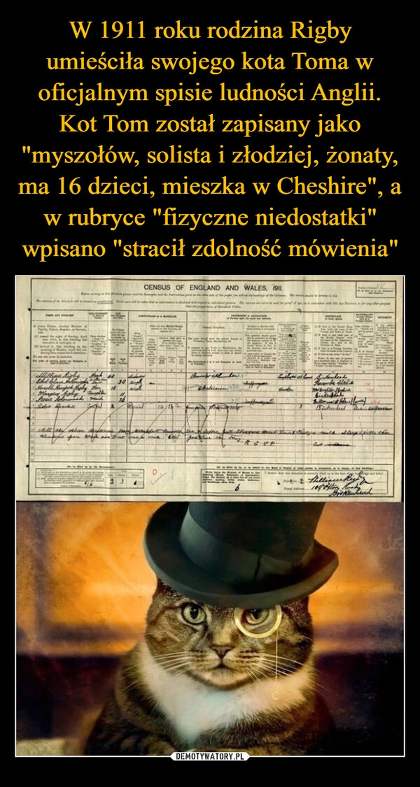 
    W 1911 roku rodzina Rigby umieściła swojego kota Toma w oficjalnym spisie ludności Anglii. Kot Tom został zapisany jako "myszołów, solista i złodziej, żonaty, ma 16 dzieci, mieszka w Cheshire", a w rubryce "fizyczne niedostatki" wpisano "stracił zdolność mówienia"