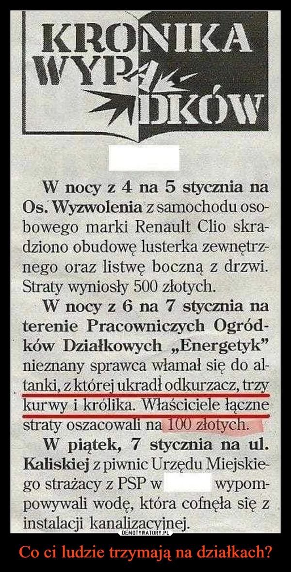 
    Co ci ludzie trzymają na działkach?