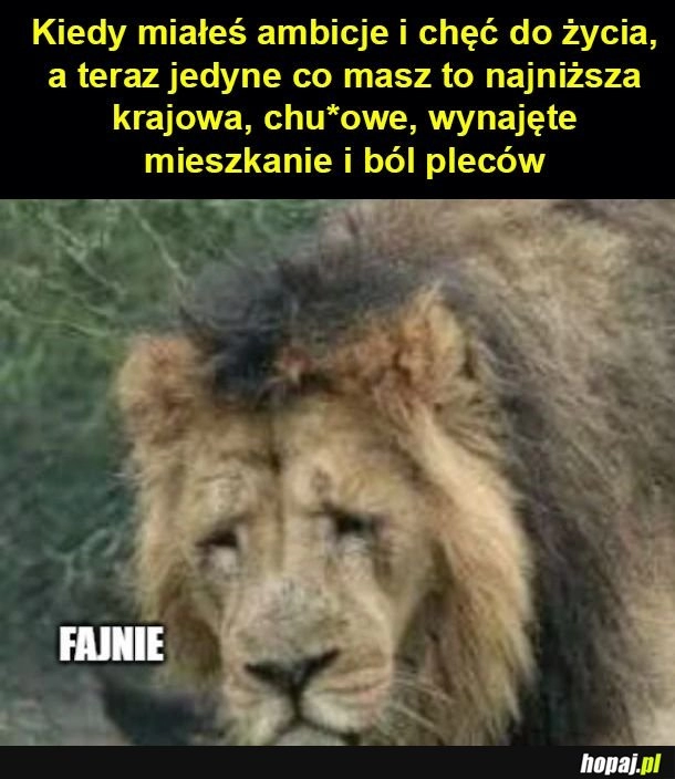 
    Takie życie