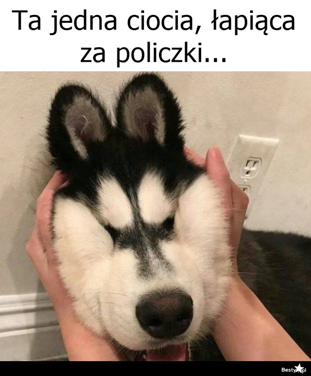 
    Ta jedna ciocia 