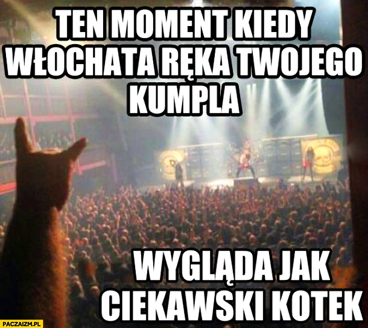 
    Ten moment kiedy włochata ręka Twojego kumpla wygląda jak ciekawski kotek