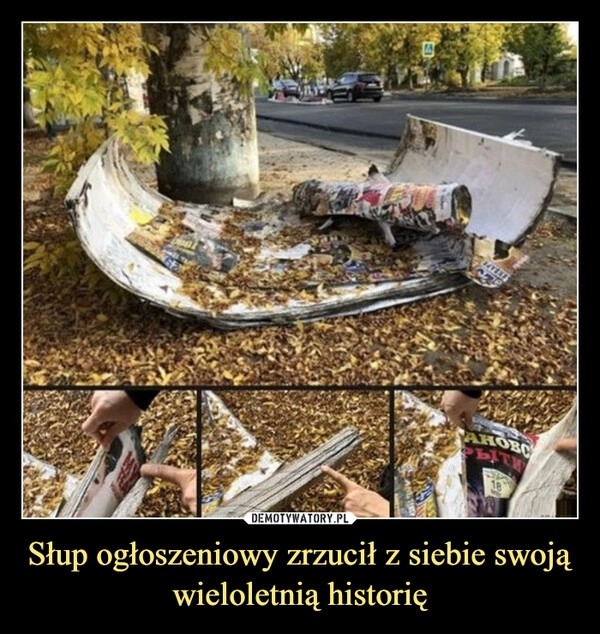 
    Słup ogłoszeniowy zrzucił z siebie swoją wieloletnią historię