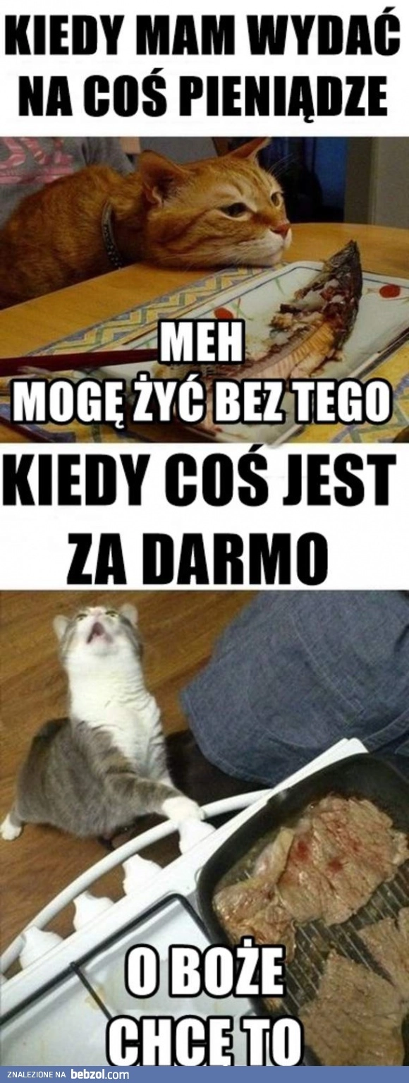 
    Za każdym razem ten dylemat