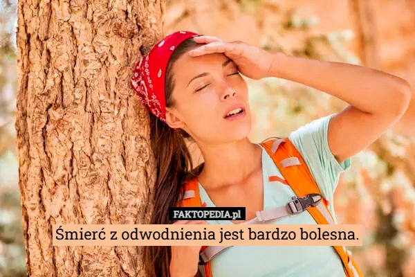 
    Śmierć z odwodnienia jest bardzo bolesna.