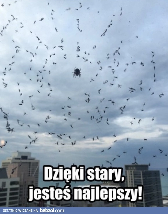 
    Dziękuję bardzo