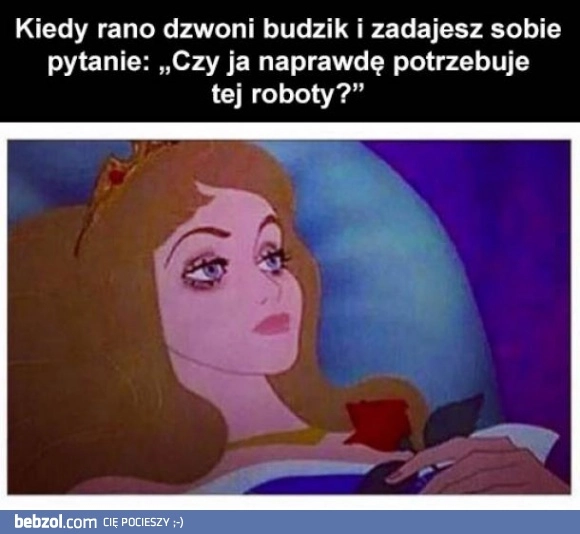 
    A może jednak nie 