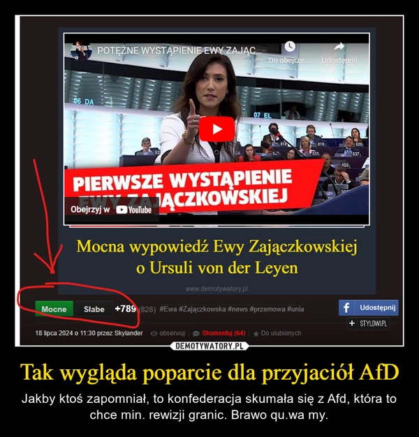 
    Tak wygląda poparcie dla przyjaciół AfD