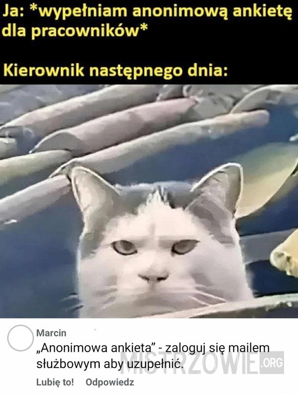 
    Pełna anonimowość