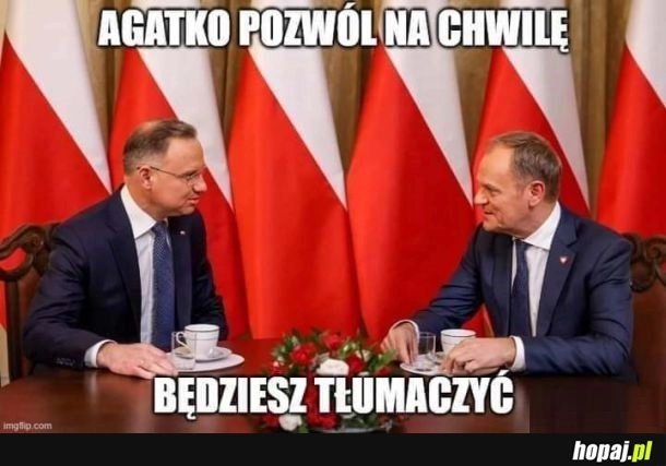 
    Tłumacz