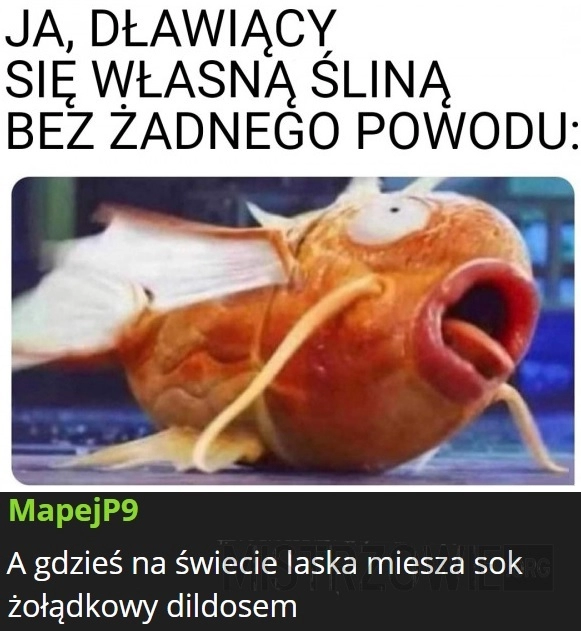 
    Ślina