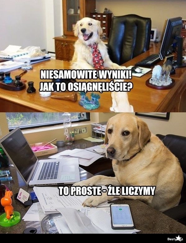 
    Niesamowite wyniki 