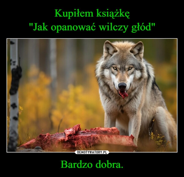 
    Kupiłem książkę
"Jak opanować wilczy głód" Bardzo dobra.