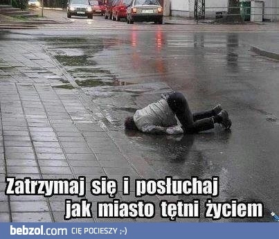 
    Zatrzymaj się