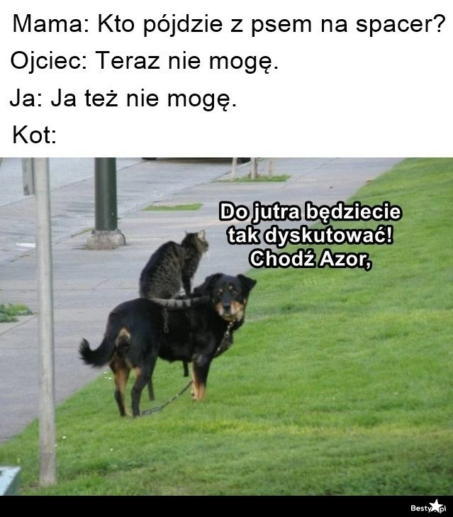 
    Kot się zlitował 