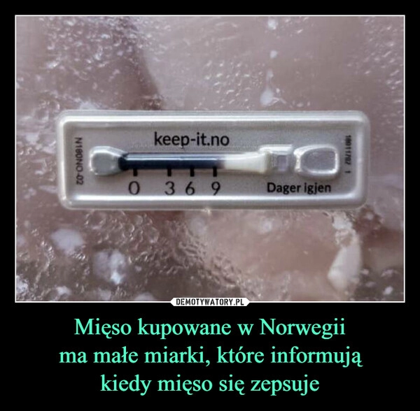 
    Mięso kupowane w Norwegii
ma małe miarki, które informują
kiedy mięso się zepsuje