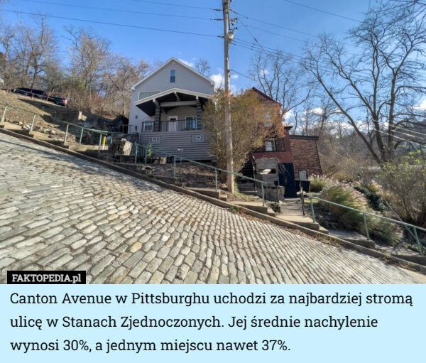 
    Canton Avenue w Pittsburghu uchodzi za najbardziej stromą ulicę w Stanach...