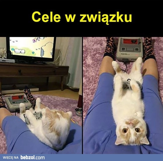 Cele w związku 