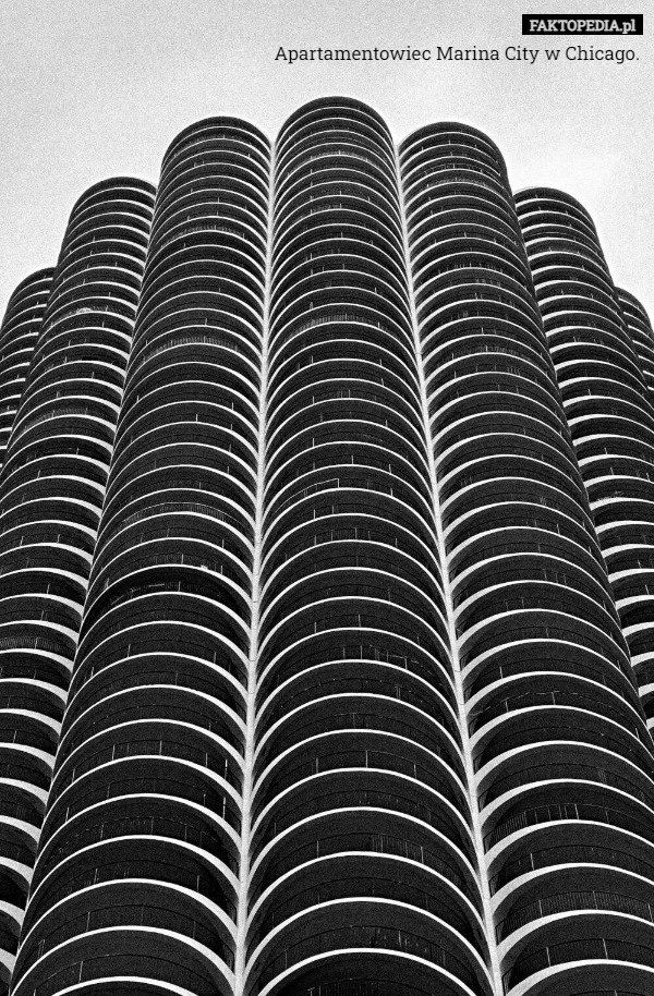 
    Apartamentowiec Marina City w Chicago.