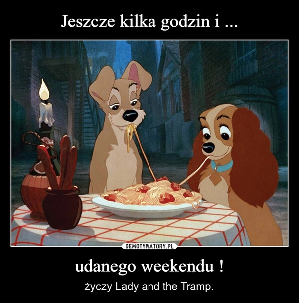 
    Jeszcze kilka godzin i ... udanego weekendu !