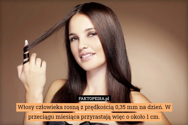 
    Włosy człowieka rosną z prędkością 0,35 mm na dzień. W przeciągu miesiąca