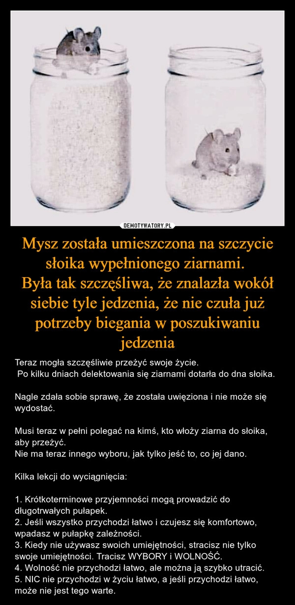 
    Mysz została umieszczona na szczycie słoika wypełnionego ziarnami. 
Była tak szczęśliwa, że znalazła wokół siebie tyle jedzenia, że nie czuła już potrzeby biegania w poszukiwaniu jedzenia