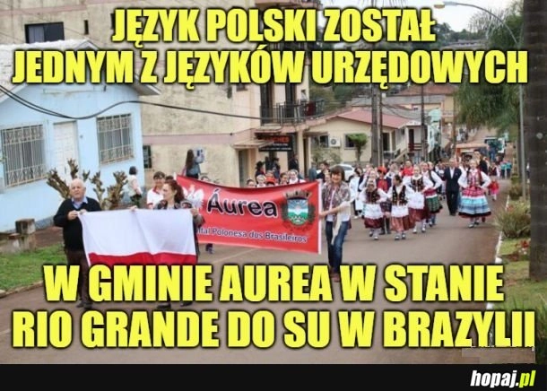 
    Język polski.
