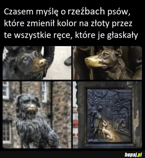 
    Głask głask dobre pieseły