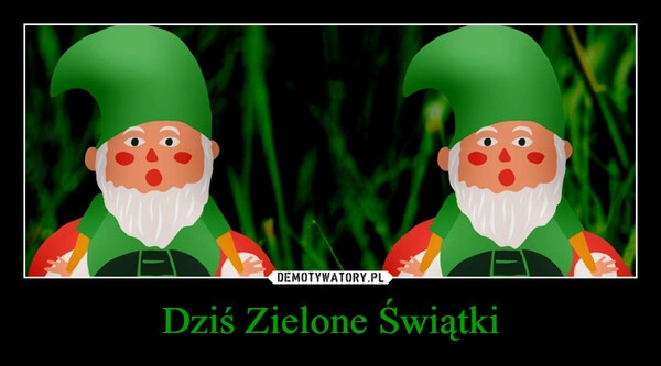 
    Dziś Zielone Świątki