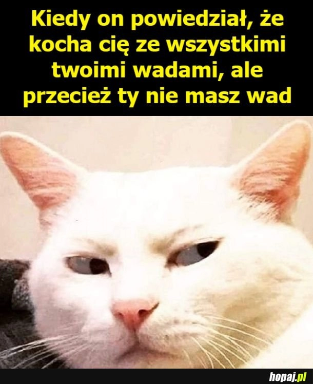 
    No właśnie