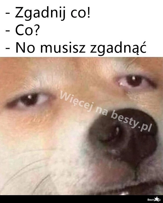 
    Naprawdę muszę? 