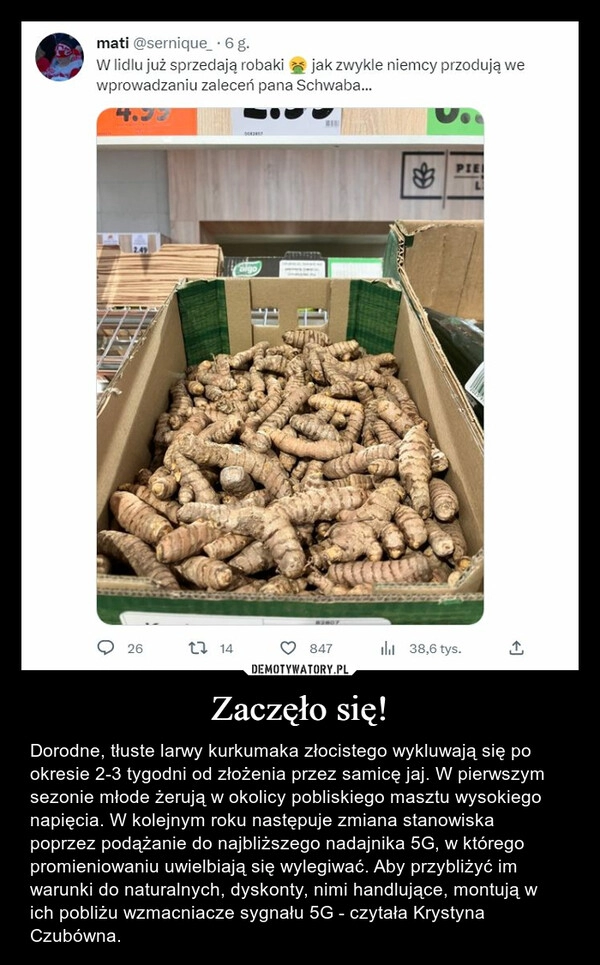 
    Zaczęło się!