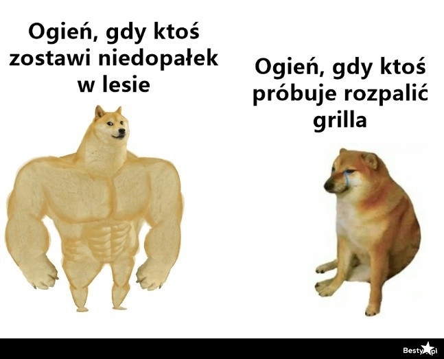 
    Ogień 