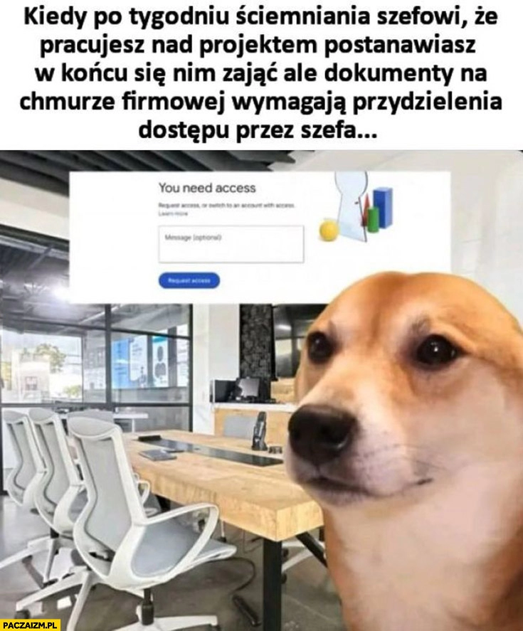 
    Pies piesek Kiedy po tygodniu ściemniania szefowi, że pracujesz nad projektem postanawiasz w końcu się nim zająć ale dokumenty na chmurze firmowej wymagają przydzielenia dostępu szefa