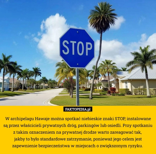 
    W archipelagu Hawaje można spotkać niebieskie znaki STOP, instalowane są