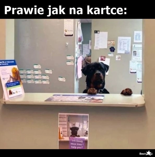 
    Stały pracownik 