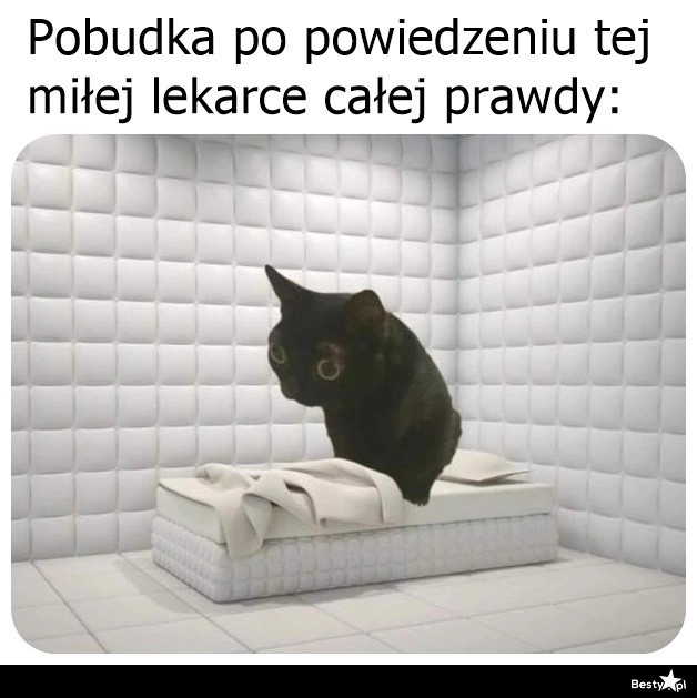 
    To się porobiło 