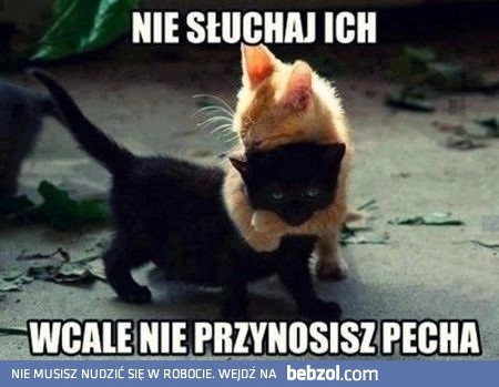 
    Nie słuchaj ich