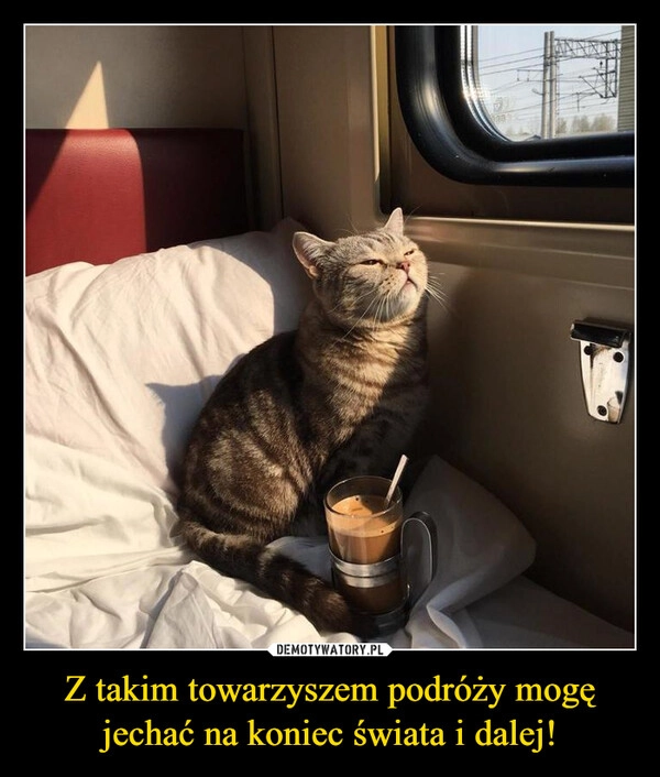 
    Z takim towarzyszem podróży mogę jechać na koniec świata i dalej!