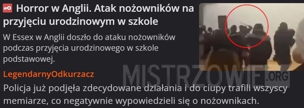 
    Horror w Anglii