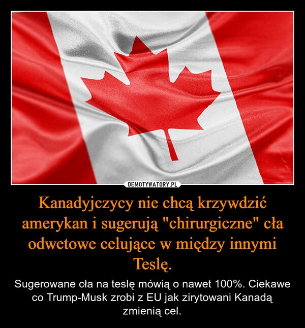 
    Kanadyjczycy nie chcą krzywdzić amerykan i sugerują "chirurgiczne" cła odwetowe celujące w między innymi Teslę.