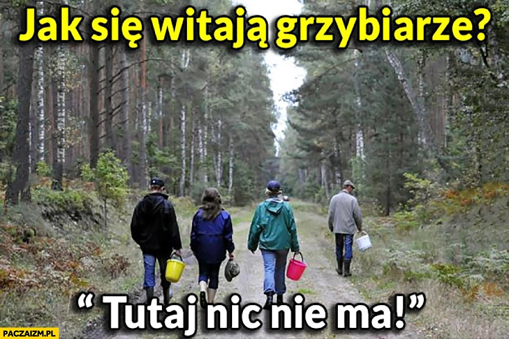 
    Jak się witają grzybiarze? Tutaj nic nie ma