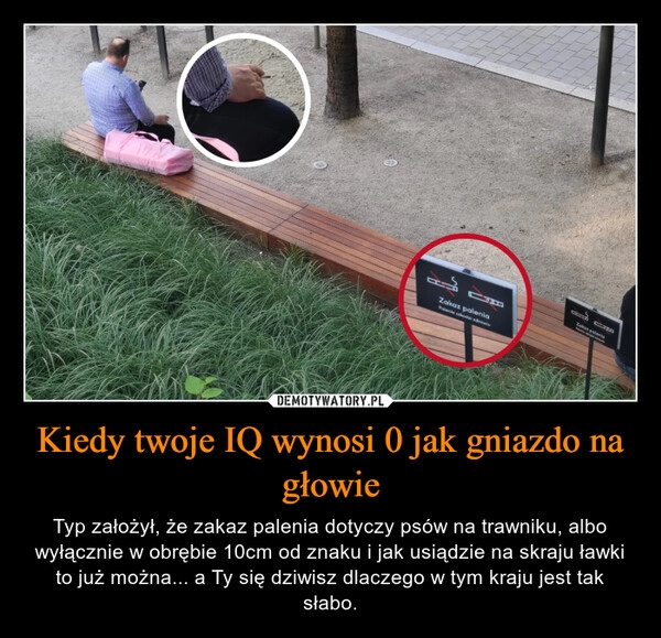 
    Kiedy twoje IQ wynosi 0 jak gniazdo na głowie